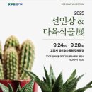 선인장연구회