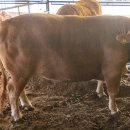 정수축산 이미지