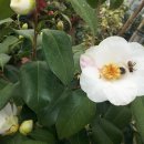 유원농장 이미지