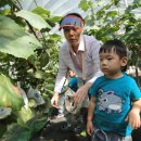 석호농장 이미지