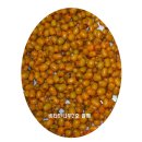 신성2호 이미지