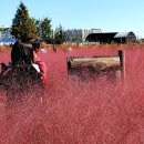바람새마을 이미지