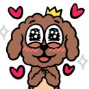 다움동물병원 이미지