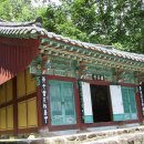 천은사 - 1455 | 천은사