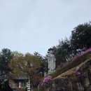 태평로55번길 이미지