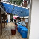 내장풍경펜션 | 통영 1박2일 여행 중 사장님이 진짜 '문어'를 던져주고 가셨습니다 (통영루지여행펜션 재방문 후기)