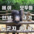 에스브로우 이미지
