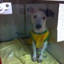 나래병원 이미지