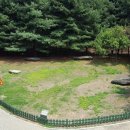 자유공원 지석묘 이미지