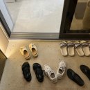 데이오프파주 이미지