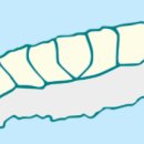 제주특별자치도청 이미지