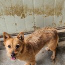 신암1리마을회관 이미지