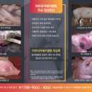 나투어존 퓨어앤라이프