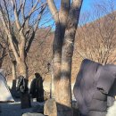 엘림펜션캠핑장 이미지