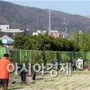 벌교숲공원 이미지