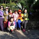 용원초등학교 이미지