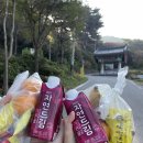 아라메길 (도비마루길) 이미지