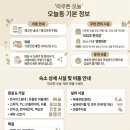 오늘펜션 | 제주 애월 독채펜션 아무튼오늘, 신상 가성비 감성숙소 후기