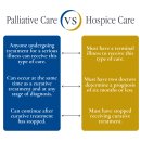 죽이야기세계로병원점 | 43. 세계의 호스피스 병원