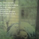 김약국 이미지