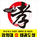 삼성 효 태권도장 이미지