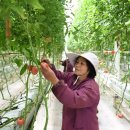 성마을농장 이미지