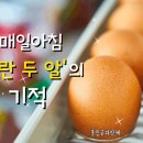 알 이미지