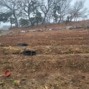 예산농원 - 예산군 충서로 244-1 | 예산농원