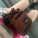 셀프 건강마사지(이론) | 보홀 체험다이빙 나팔링 수영초보 오션스쿨 내돈내산