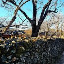 외암민속박물관 | 아산 가볼만한곳 외암민속마을 겨울여행