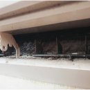 마음홈케어 이미지