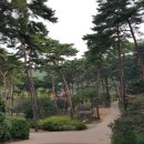 숲에 머물다 이미지