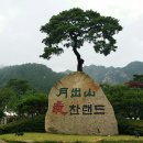 영암웰빙