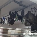 하이얀세탁전문점 이미지