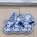 우목장 | [포천] 산정호수 카페 추천 | 카이막 맛집 '사르르 목장' 후기