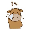 황소네집 이미지