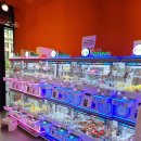 보라카이오락실 이미지