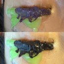 제이유엔 | 동래 속눈썹펌 잘하는곳 추천 블랙틴트펌 후기 동래 제이유뷰티