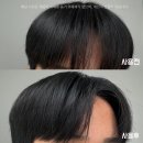 다이소 정직한실험실 헤어스프레이 &amp; 스틱왁스 잔머리 정리 후기