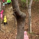 북구어린이집 이미지