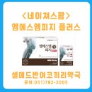팜메드약국 네이버블로그