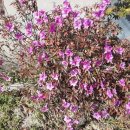 장항2리마을회관 이미지