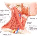 광주한의원 이미지