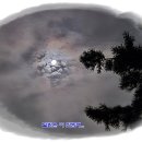 청와삼대 이미지