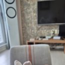 휘게 | 거제도 펜션 추천｜휘게펜션 숙박 후기 (내돈내산)