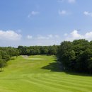 아이리스골프클럽 이미지