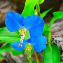 상효동-1 이미지