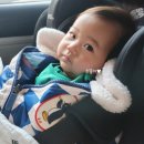 인천제2시립노인병원 | 5개월 오복씨, 인천 나은병원 RSV예방접종 하고 왔어요(RSV란? 예방접종 가격)