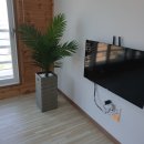 아모르가족펜션 이미지