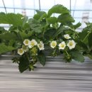 원덕농장 이미지